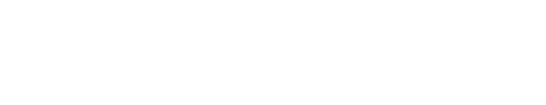 Wesley Financial Allocation